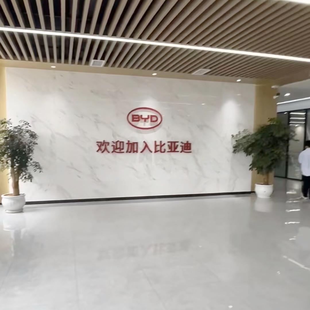 比亚迪.jpg